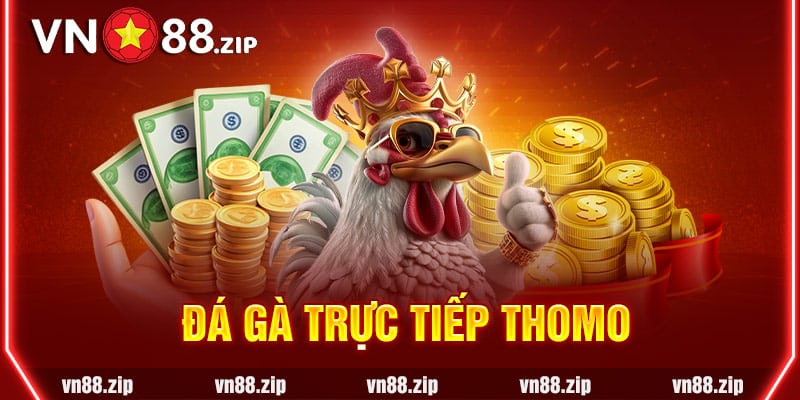 đá gà trưc tiếp thomo